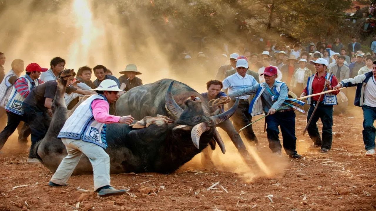 2023年9月最佳比賽，看完直呼太燃了