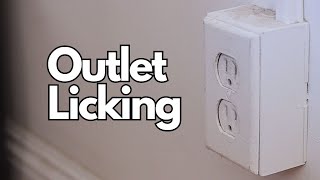 Outlet Licking