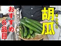 『胡瓜レシピ６選！』【大量消費】☆暑けりゃこれ食え！食欲回復の胡瓜レシピ☆