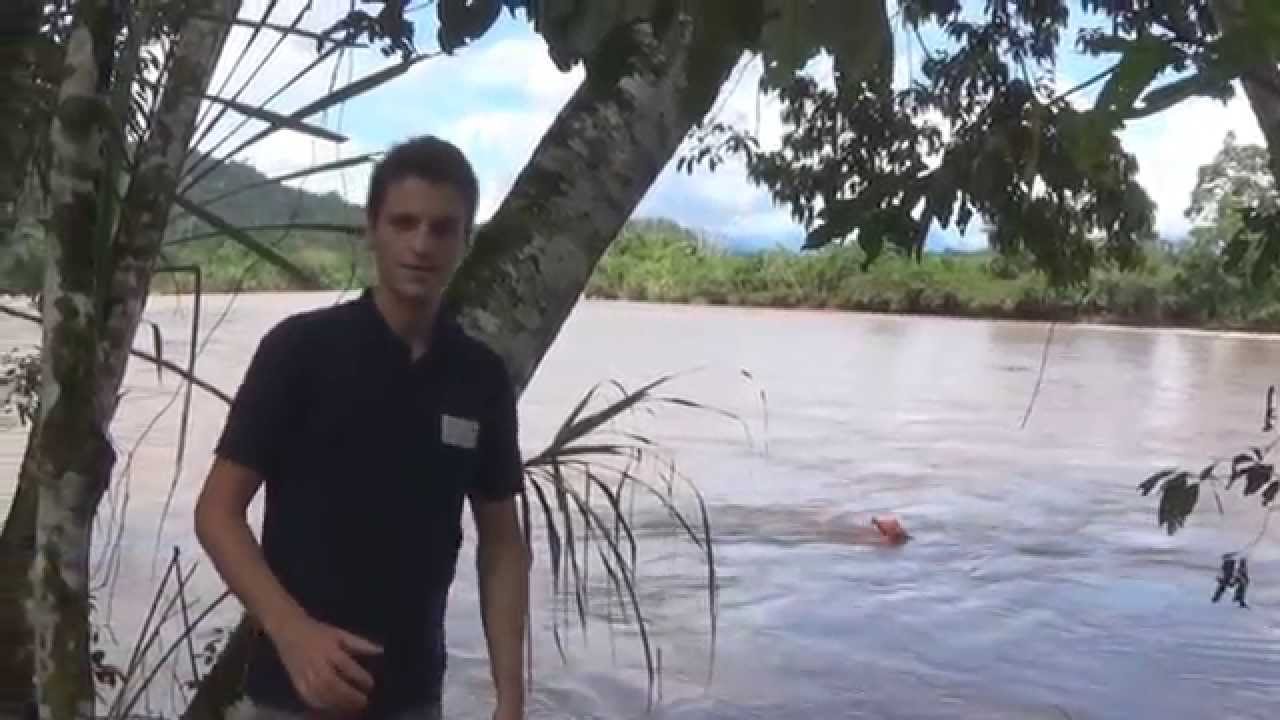 Hydrokinetic Energy content media