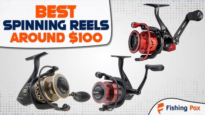 The Top 5 Spinning Reels Under $100! 2024 Buying Guide 