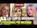 ¡ACUSADAS GRAVEMENTE! TERELU CAMPOS CARMEN Y ALEJANDRA RUBIO ARRUINADAS Y PERSEGUIDAS VENDEN SU VIDA