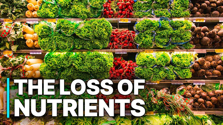 Industry Scandal: The Loss Of Nutrients | Corrupt Food Industry thumbnail