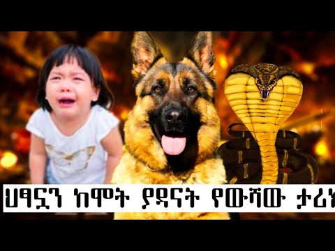 ቪዲዮ: ባለሱቁ ምንድን ነው? ርዕሰ ጉዳዩ ምንድን ነው?