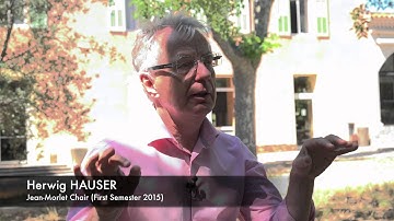 Interview at CIRM : Herwig Hauser