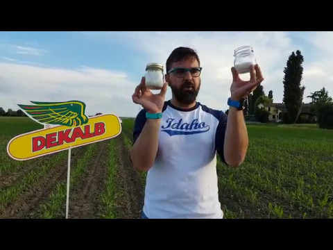 Video: Urea urea: applicazione