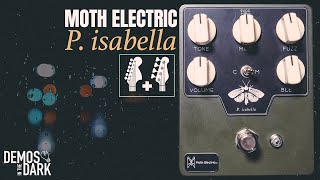 Moth Electric P. Isabella | Fuzz Pedal Demo