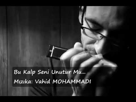 Bu Kalp Seni Unutur Mu - Fikret Kızılok / Mızıka - Vahid MOHAMMADI