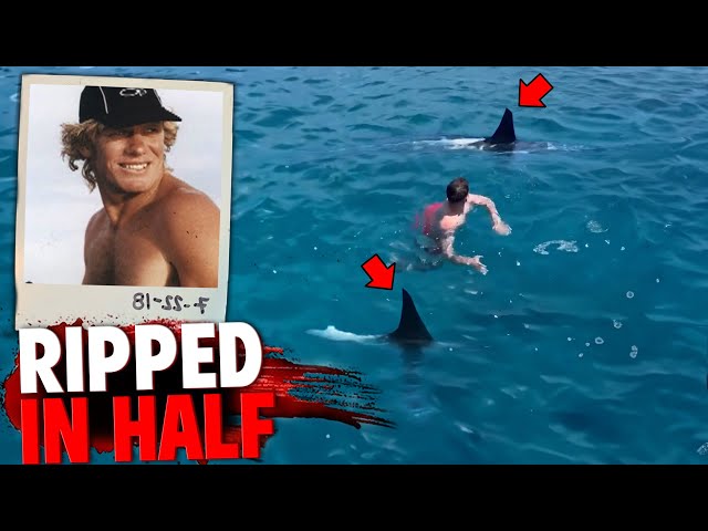 These 2 Great White Sharks RIPPED This Man in HALF in Front of His Friends! class=