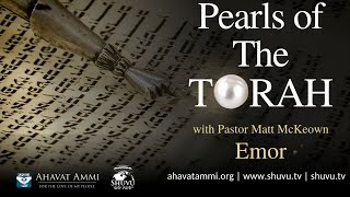 Pearls Of The Torah Emor