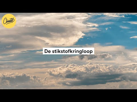 De stikstofkringloop - Mr. Chadd Academy