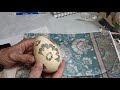 Pysanky Inspiration in Action - Part 1