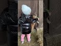 4-летняя дочь Кети Топурии показала многочисленных животных, обитающих во дворе их загородного дома