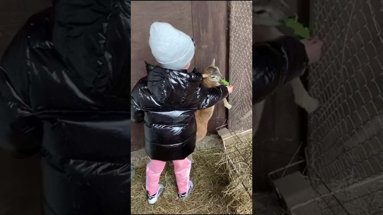 Мама Ушла В Магазин Дочка С Отчимом