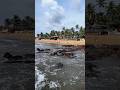 Anjuna beach | Goa | seashore #goa #anjunabeach #chirstmas #newyear #shorts #trending #youtubeshorts