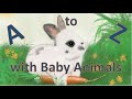 A to Z sing with me - Alphabet Animals (ABC Animals Song) - ATA Kids (Original Song)