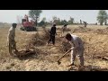 Excavator Working Suddenly Finds a Giant Lizard – Shocking Moment!