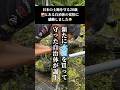 日本の水源を守る自治体の「本気」を見てください。北海道・京極町が、約11.6haの土地を1.1億円で購入。予算50億規模の町にとって大きな決断ですが、水を守るための「お手本」です。#政治 #日本 #水