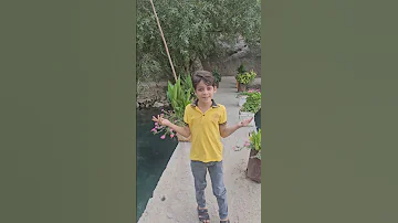 الحركة الاخيرة احلى شي 