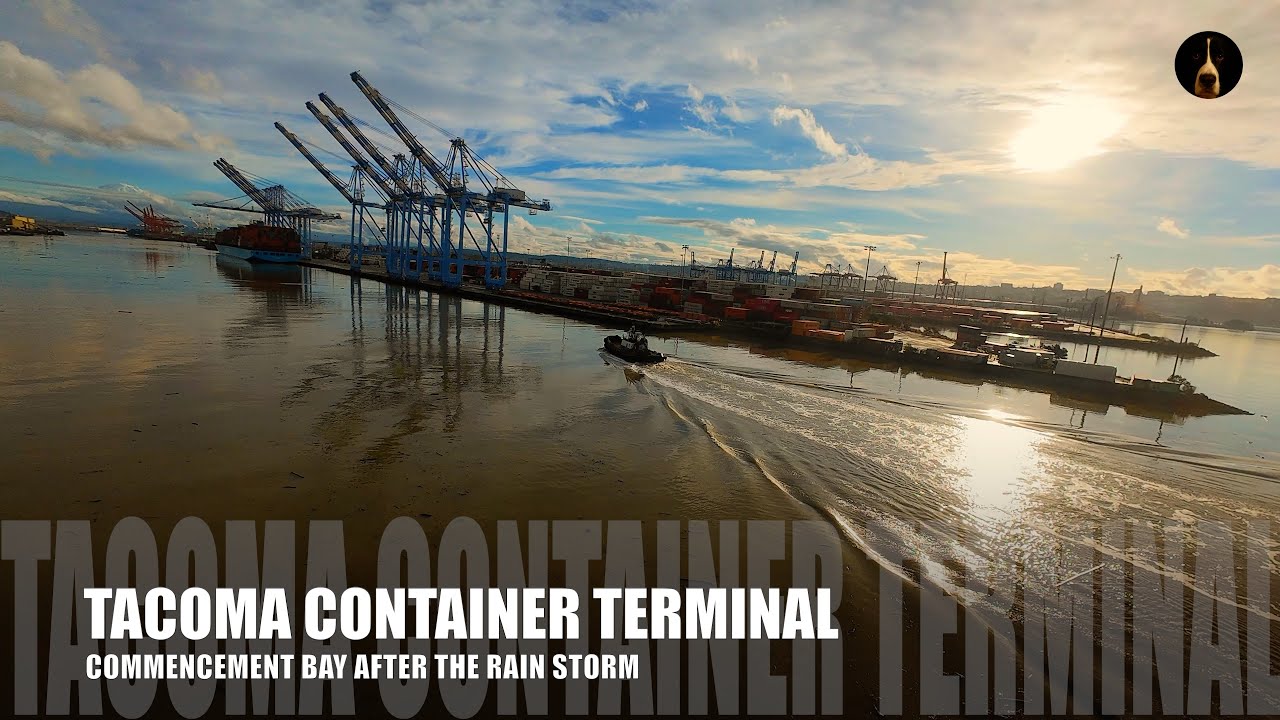 Tacoma marina after winter storm | debris-filled docks | DJI Avata FPV