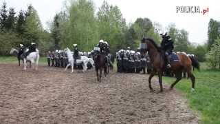 Polska Policja - Coroczny egzamin atestacyjny dla policyjnych koni i ich jeźdźców
