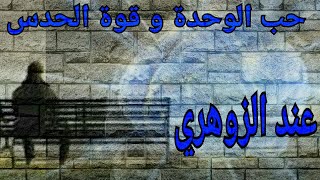 الزوهري . حقيقة حب الوحدة و الحدس عند الزوهريين