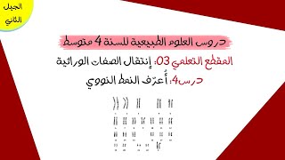 درس4: النمط النووي (الطابع النووي) | رابعة متوسط