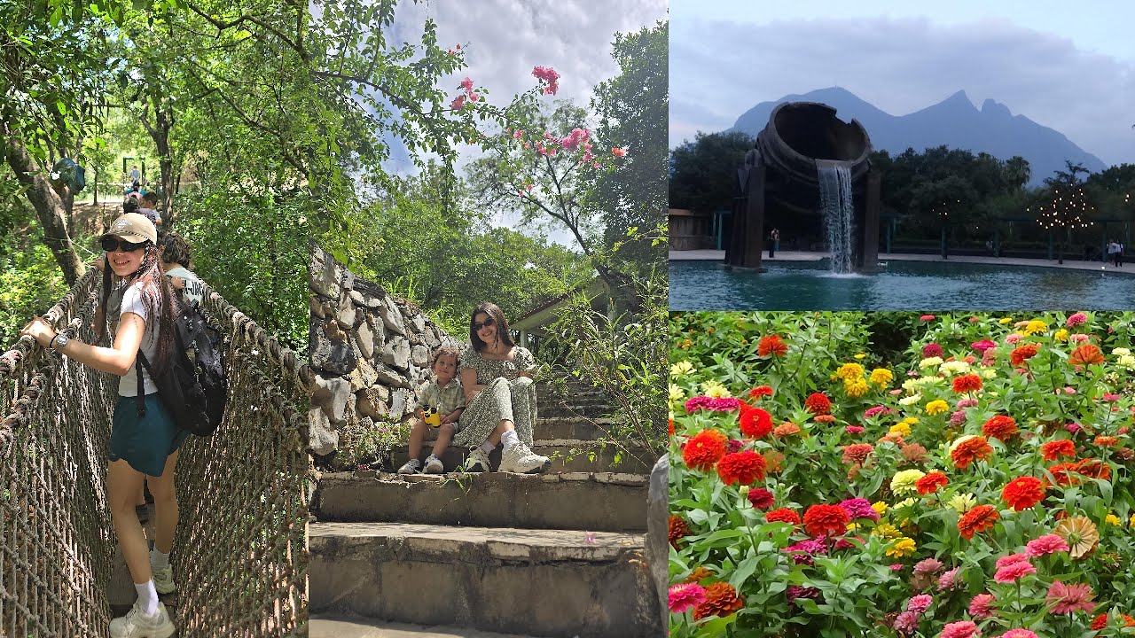 Regia por un Mes | Vlog 005