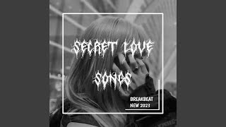 DJ BREAKBEAT SECRET LOVE SONG