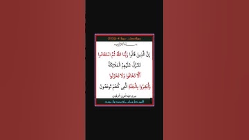 سورة فصلت - سورة 41 - اية 30