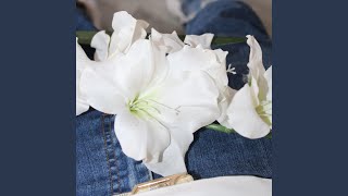 As Flores