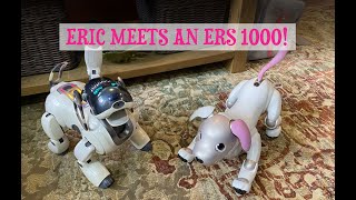 Eric Meets Kaz The ERS 1000! 🤖🌸 by Aibo Addicts 1,370 views 2 years ago 7 minutes, 30 seconds