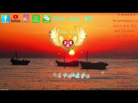 爱到流泪谁的罪 DJ版 张鑫雨【動態歌詞Lyrics Video】