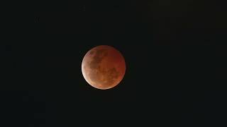 The March 13th Lunar Eclipse (2025) - A FULL TIMELAPSE