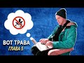 Глава 5. "Вот трава" - первая книга о том, как перестать курить траву.