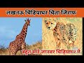    zoo ghar lucknowzo 2024 sujeetbhardwaj vlog