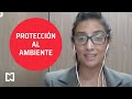 Protección al ambiente ¿paralizado? - Punto y Contrapunto