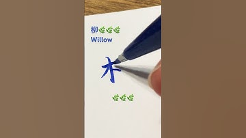 🌿How to write🌿willow柳 in Chinese#calligraphy #handwriting #tutorial #書道 #写字 #漢字 #学中文#写字 #lettering