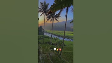 ( قُلْ أَعُوذُ بِرَبِّ الْفَلَقِ ) القارئ: هزاع البلوشي/ سورة الفلق/