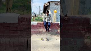 Ri Mara Chappal Kahan Lekar Ja Rahi Hai