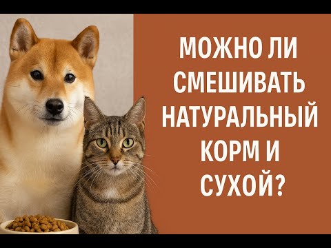 Что будет, если кормить собаку или кошку натуралкой и дополнять сухим кормом и наоборот