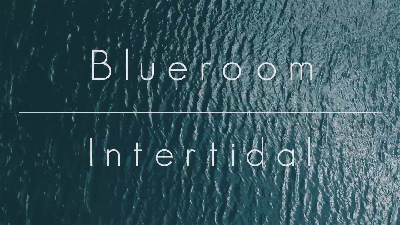 Guarda Blueroom - "Intertidal" (Music Video) su YouTube Guarda Blueroom - "Intertidal" (Music Video) su YouTube