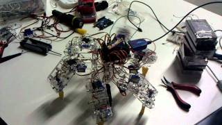 Early ArcBotics Open Hexapod