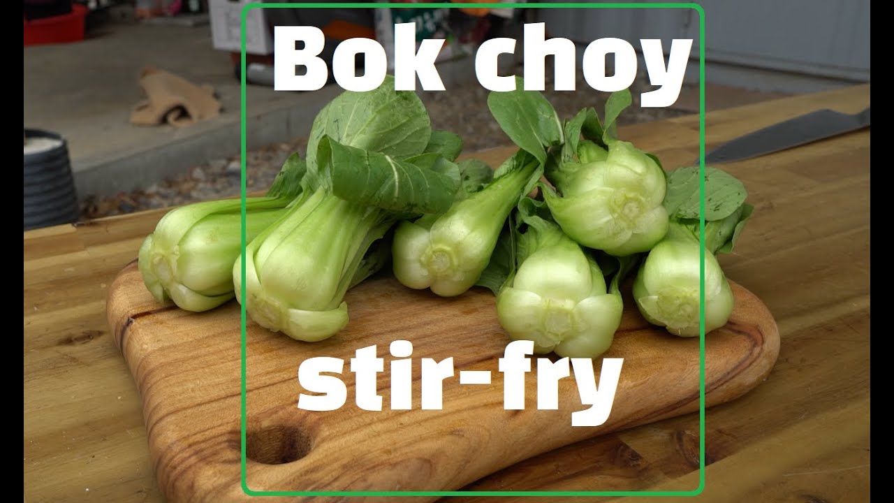 Vegetarian Bok Choy Stir-Fry - YouTube