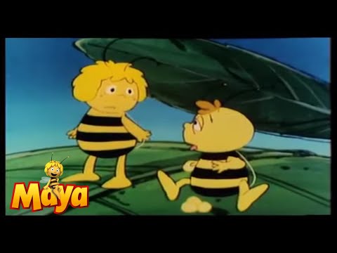 TÜM BÖLÜM - Bölüm 6 - arı Maya  🐝🌻