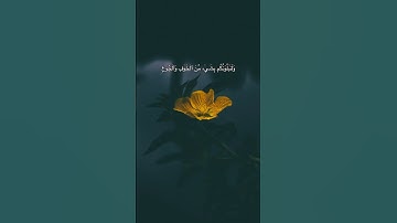 وَلَنَبۡلُوَنَّكُم بِشَيۡءٖ مِّنَ ٱلۡخَوۡفِ وَٱلۡجُوعِ || #سورة_البقرة ، القارئ #اسلام_صبحي