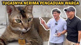 KATA IRFAN HAKIM ADA KUCING KERJA DI KANTOR GUBERNUR JAKARTA by Kucing Om Wepe 61,231 views 1 year ago 19 minutes