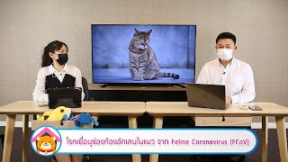 โรคเยื่อบุช่องท้องอักเสบในแมว จาก Feline Coronavirus (FCoV) | รายการ pet care onair