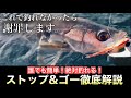 これで釣れなかったら謝罪します。 シーバス、マゴチ、ヒラメに効く!必殺ストップアンドゴー!