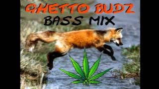 Download lagu DJ Alex R - Ghetto Budz Party Mix (Ghetto Funk, Breaks, Wonky House, Jungle, Drum & Bass)
